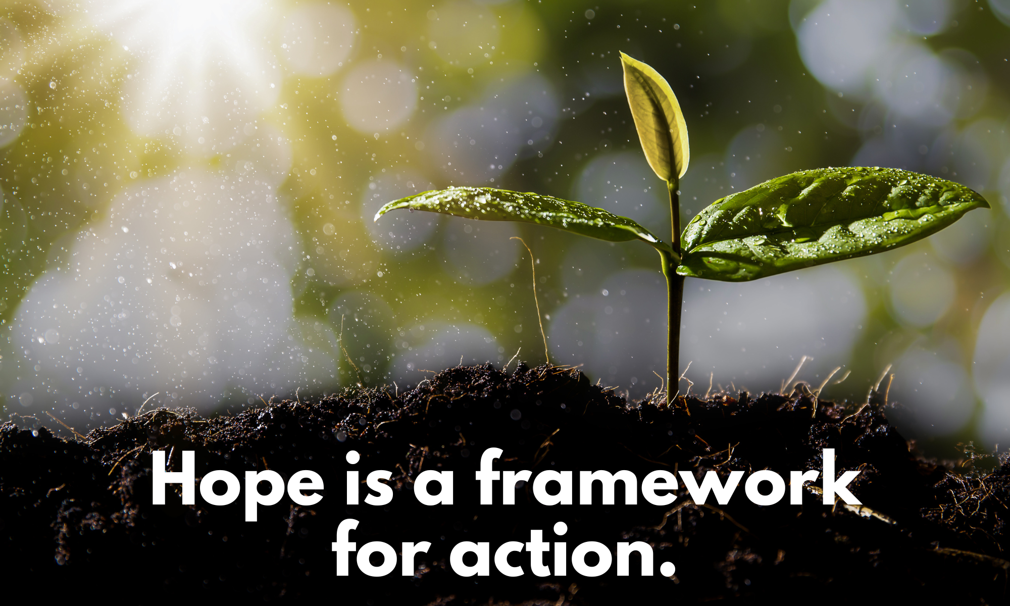 Hope is a framework for action.